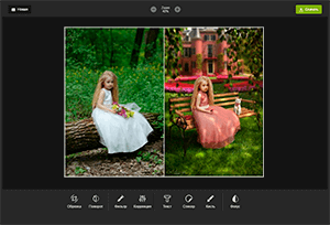 Bildbearbeitung Online Mini<br><br>Alle Werkzeuge für Fotobearbeitung und-nichts mehr!
